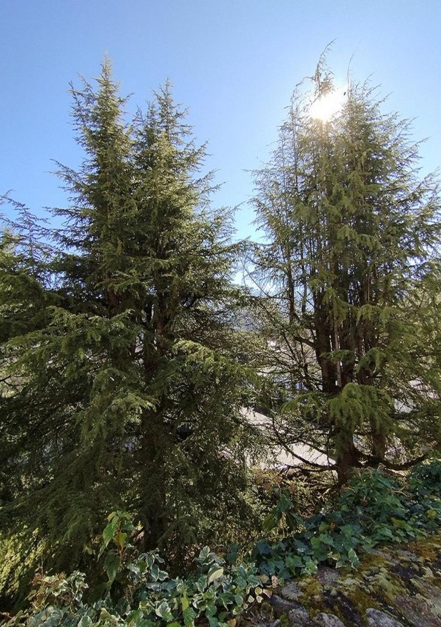 Appartement Le Welcome Argelès-Gazost Esterno foto